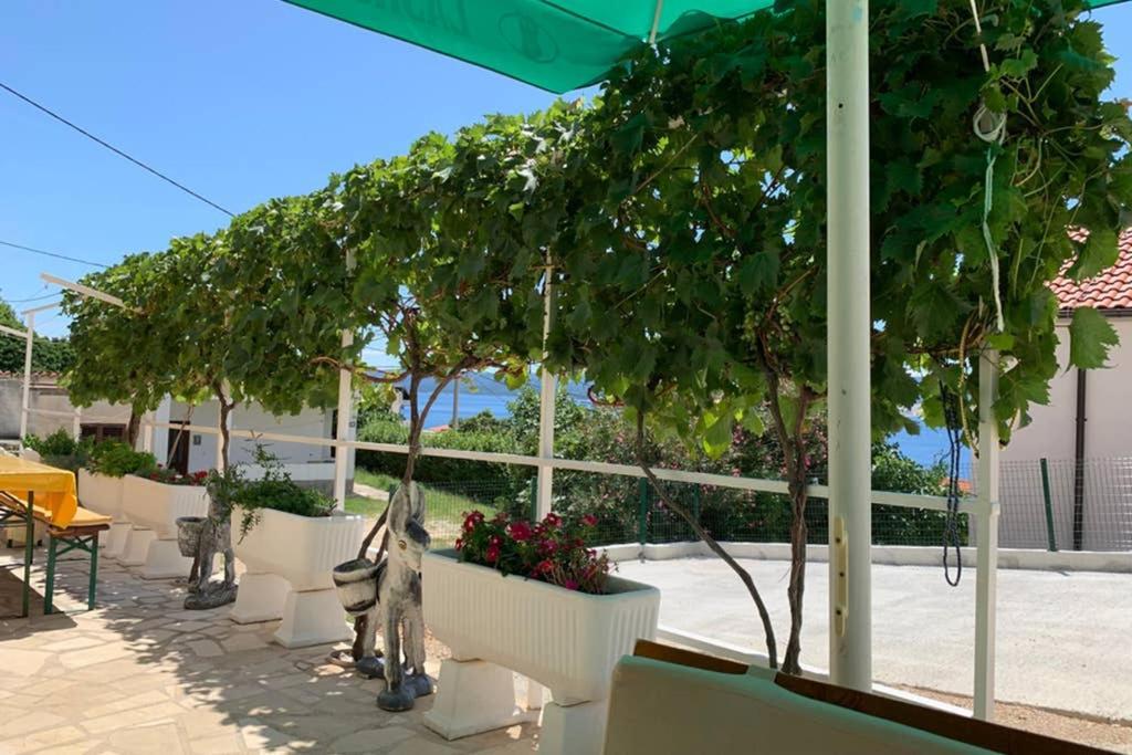 Apartment 4 With Pool And Amazing Sea View Lokva Rogoznica Exteriér fotografie